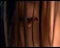 PDVD_1627