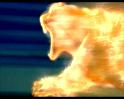 PDVD_1690