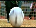 PDVD_1718