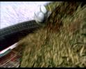 PDVD_1726