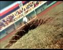PDVD_1729