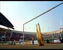 PDVD_1748
