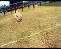 PDVD_1754