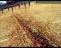 PDVD_1755