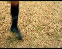 PDVD_1771