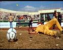 PDVD_1784