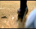 PDVD_1790