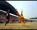 PDVD_1829