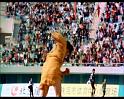 PDVD_1844