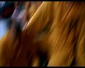 PDVD_1861