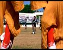 PDVD_1896