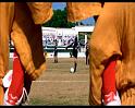 PDVD_1898