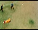 PDVD_1980