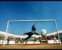 PDVD_1989