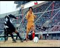 PDVD_2005