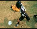 PDVD_2009