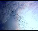PDVD_2181