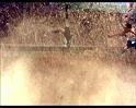 PDVD_2216