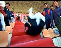 PDVD_2287