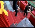 PDVD_2289