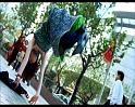 PDVD_2335