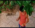 PDVD_234