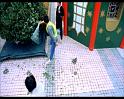 PDVD_2350