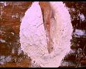 PDVD_242