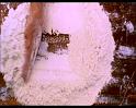 PDVD_248