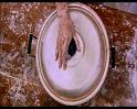 PDVD_277
