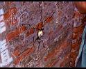PDVD_446
