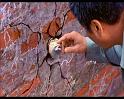 PDVD_447