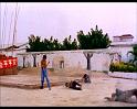 PDVD_503