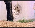 PDVD_518