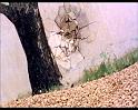 PDVD_519