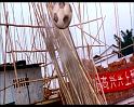 PDVD_523