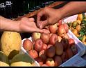 PDVD_550