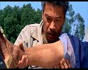 PDVD_560