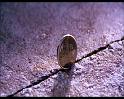 PDVD_693