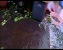 PDVD_720