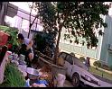 PDVD_740