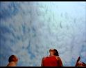 PDVD_795