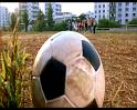 PDVD_816