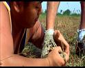 PDVD_856