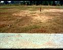 PDVD_922