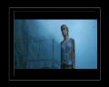 PDVD_209.jpg