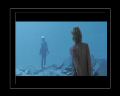 PDVD_210.jpg