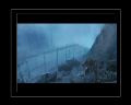 PDVD_212.jpg