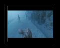 PDVD_217.jpg