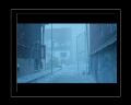 PDVD_235.jpg